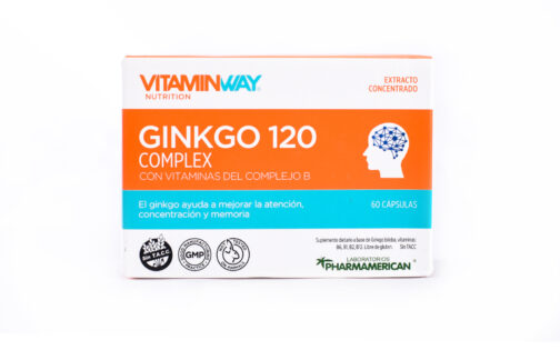 Vitamin Way - Ginkgo 120 x 60 cap